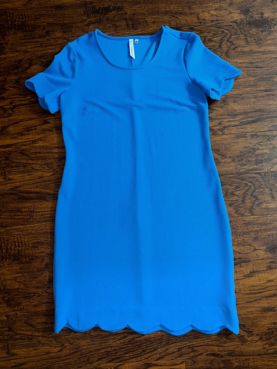 NY Collection Dresses & Skirts - NY Collection Scallop Hem Shift Dress Aqua Blue Waffle Knit Professional Midi